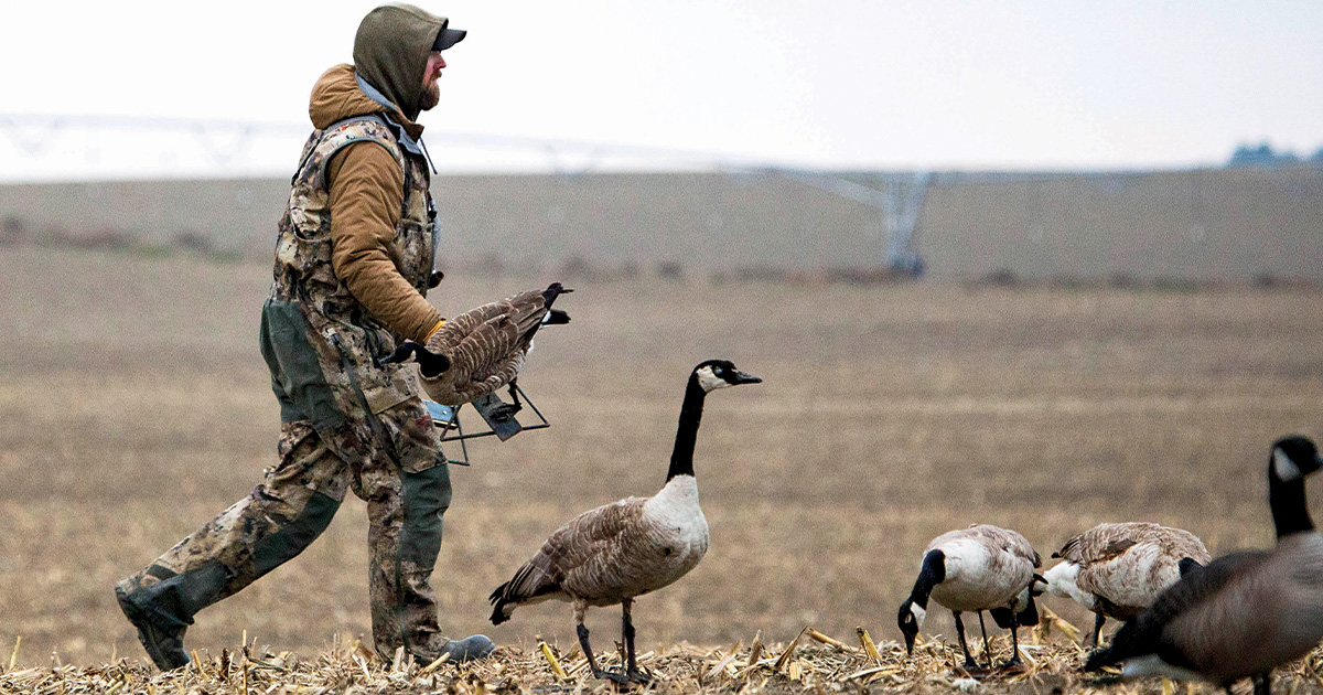 Waterfowler s World The Real Deal Ducks Unlimited